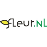 Logo tvrtke Fleur