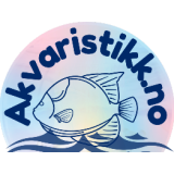 Akvaristikk (NO)
