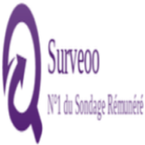 Surveoo (China) - SOI
